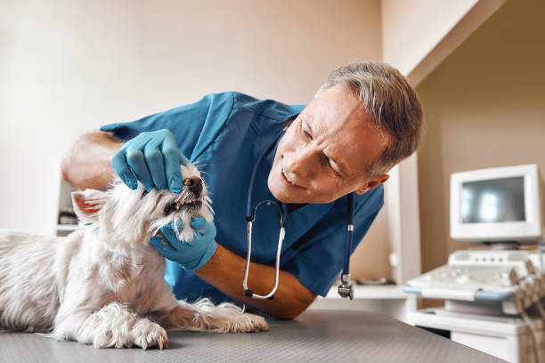 Best Broken Tooth Emergency  in Wyncote, PA